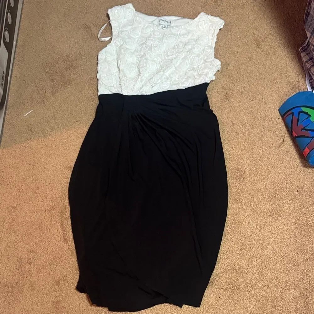 Enfocus Studio Black and White Midi Dress